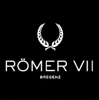 ROEMERVII bregenz GIF