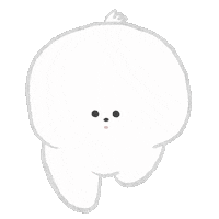 Dog Bichon Sticker