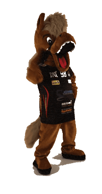 Floorball Unihockey Sticker by FB Riders