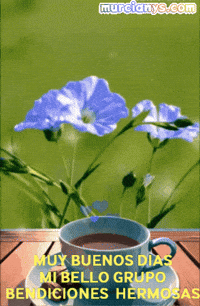 Muy Buenos Dias Feliz GIF by Murcianys LLC