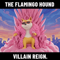 Reigning Shiba Inu GIF by Doge Pound