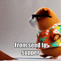 Wisdom Growth GIF by Guinea Gambino