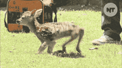 news mom GIF by NowThis 