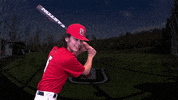 Baseball GIF by Seattle U Redhawks
