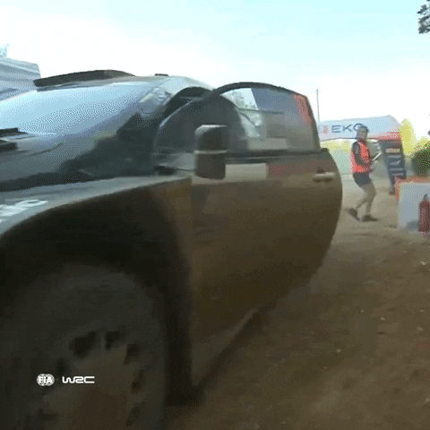 Game Over Wtf GIF by FIA World Rally Championship