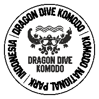 Scubadiving Sticker by Dragon Dive Komodo
