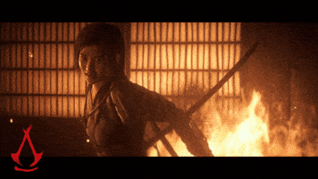 Hang On What GIF by Assassin's Creed
