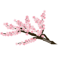 Glow Cherry Blossom Sticker by innisfreeusa