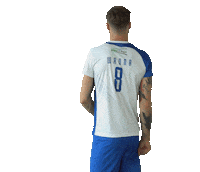 vervawarszawa sport volleyball come on pallavolo Sticker