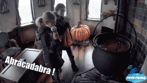 revorama leopoldine GIF