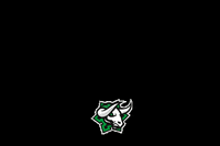 hockey_novezamky bulls hcnovezamky hcnz novezamky GIF