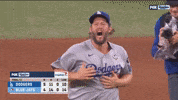 Celebrate World Series GIF by MLB