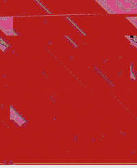GIF by Leo Pyrata