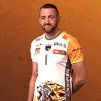 Volleyball Volley GIF by trefl_gdansk