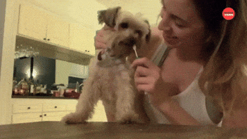 Giving My Dog Medicine