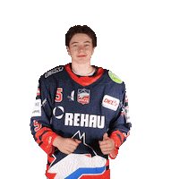 Celebration Hockey Sticker by Selber Wölfe