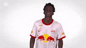 Red Bull Sport GIF by FC Red Bull Salzburg