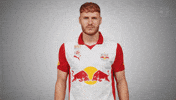 Time Waiting GIF by FC Red Bull Salzburg