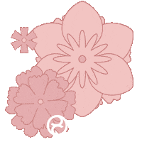 Cybex Sticker by cybex_global