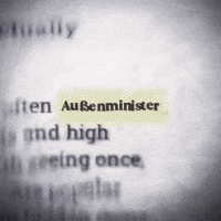 Germany Politics GIF