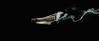 quentin tarantino smoke GIF by Patakk