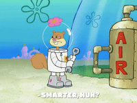 season 8 bubble troubles GIF by SpongeBob SquarePants