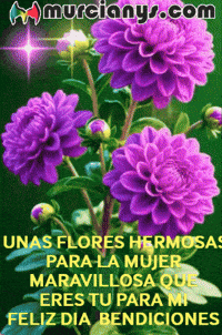 Amigos Naturaleza GIF by Murcianys LLC