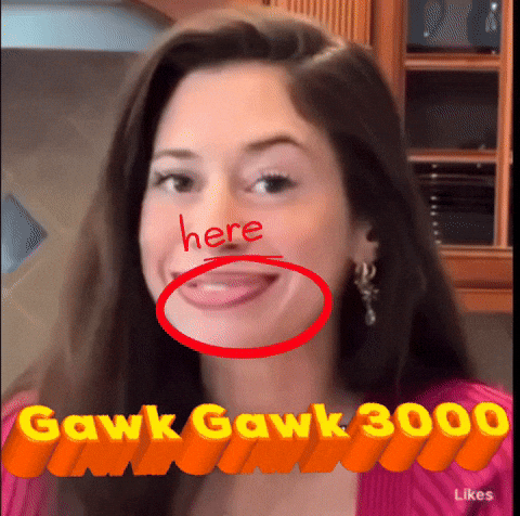 Big Mouth Gawk GIF