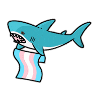 Pride Shark Sticker