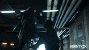 Crime Fighters Fight GIF by HBO Max