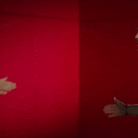 College Sports Sport GIF by Louisville Cardinals