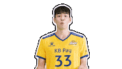 Kb스타즈 Sticker by KB STARS VOLLEYBALL CLUB