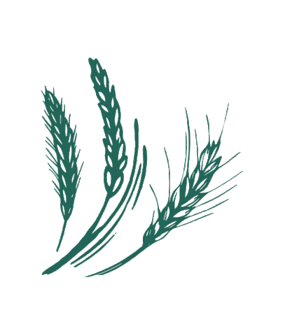 maddwarf giphyupload beer mad craft Sticker