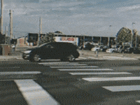 Born Losers GIF by Stray Fossa