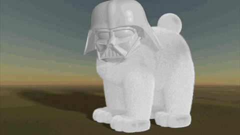 Star Wars Bear GIF by Arithmancy