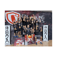 Champions Chelsea Bird Sticker by Brazilian Top Team