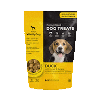 FoleyDogTreatCompany dogtreat foleydog vitalitydog Sticker