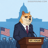 American Flag Win GIF by Doge Pound
