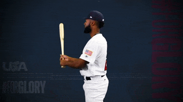 Pro GIF by USA Baseball