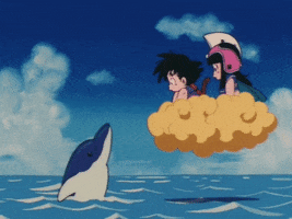 dragon ball dolphin GIF