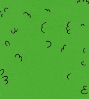 Bush Walk Out GIF by Camel Dad