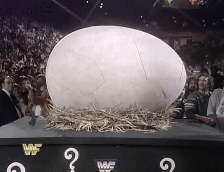 wwe thanksgiving gobbledy gooker GIF by WWE