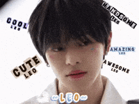 Leeeeeeeeleo0O GIF