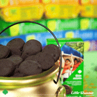 GIF by Little Brownie Bakers