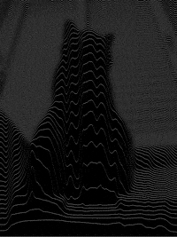 Black And White Cat GIF by A. L. Crego