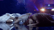 selena gomez GIF by AMAs