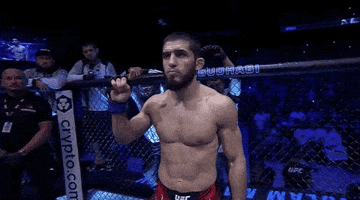 Mixed Martial Arts Sport GIF by UFC