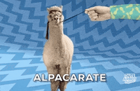 karate lol GIF by funk