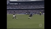 Colorado Inter GIF by Sport Club Internacional