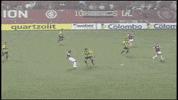 Leandro Damiao Colorado GIF by Sport Club Internacional